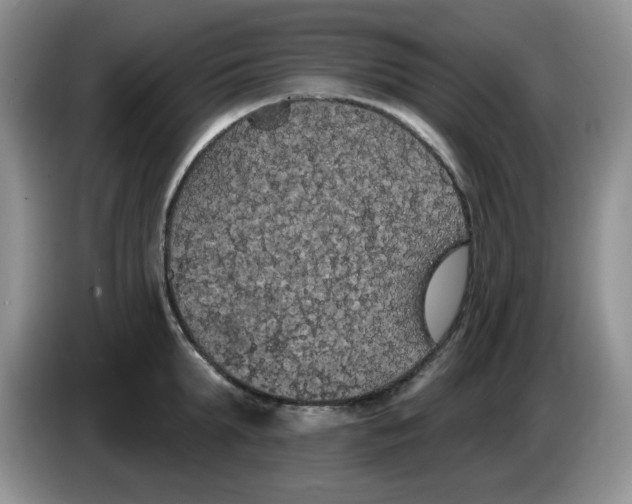 X0000084050903200703092050