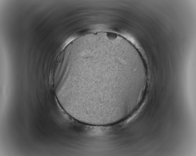 X0000084050905200703092050