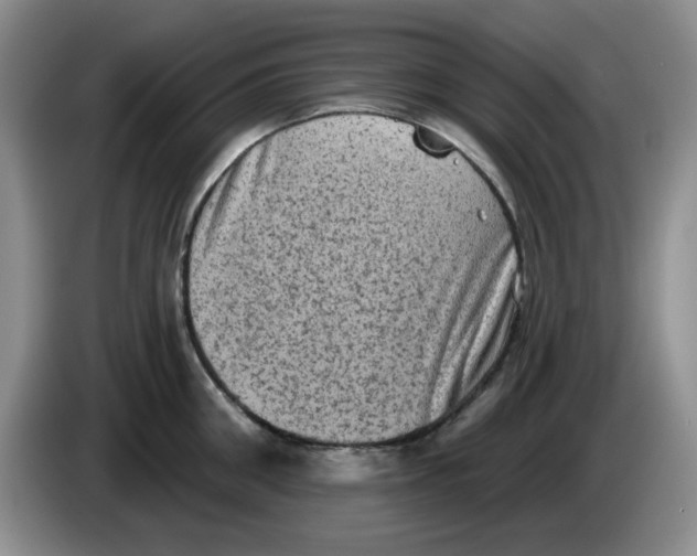 X0000084050906200703092050