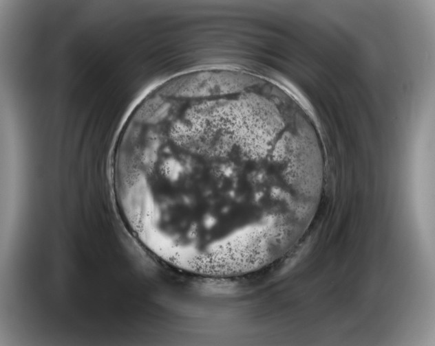 X0000084050907200703092050