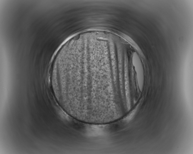 X0000084050908200703092050