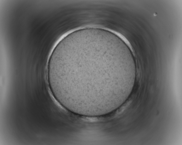 X0000084050911200703092050