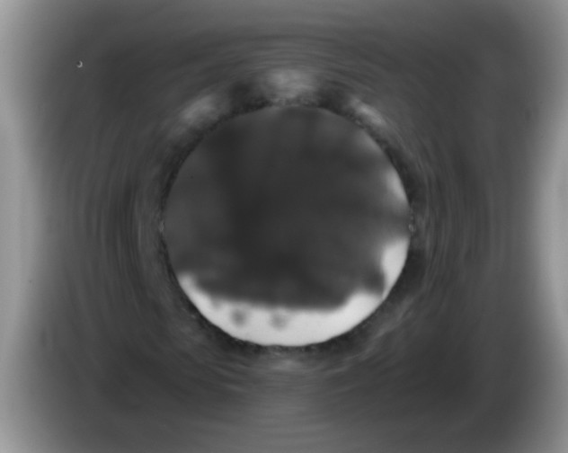 X0000084050913200703092049