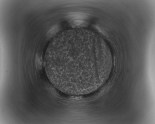 X0000084050915200703092049