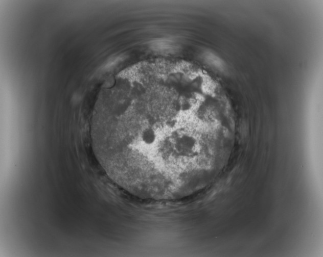 X0000084050917200703092049