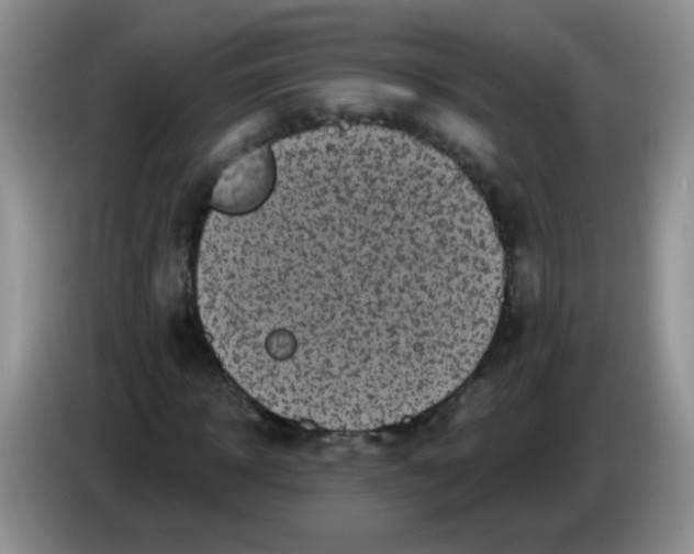 X0000084050918200703092049