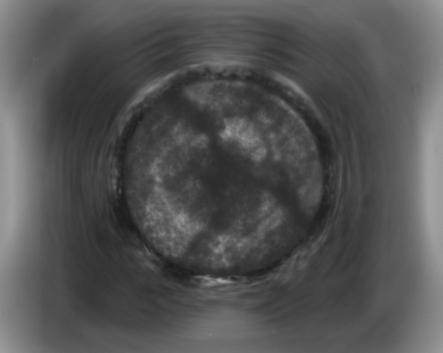 X0000084050919200703092049