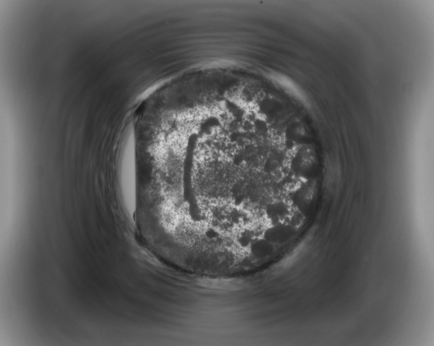 X0000084050921200703092049