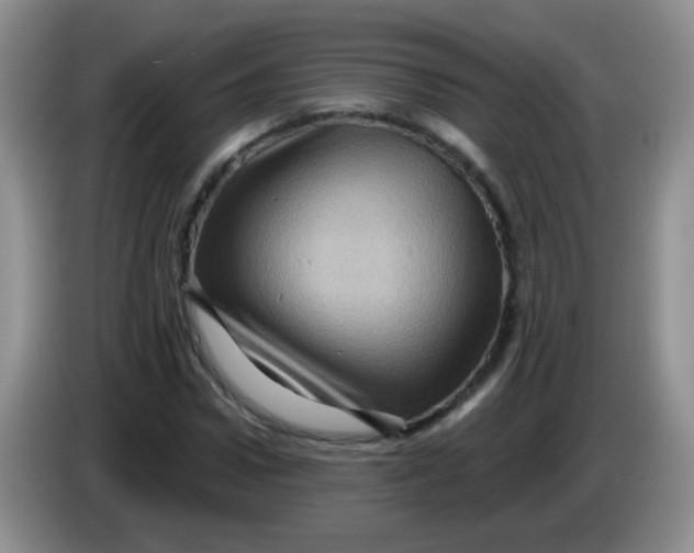 X0000084050922200703092049