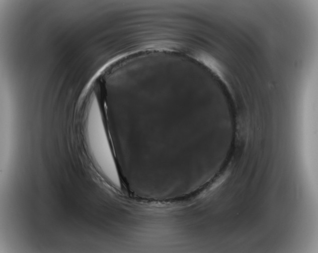 X0000084050923200703092049