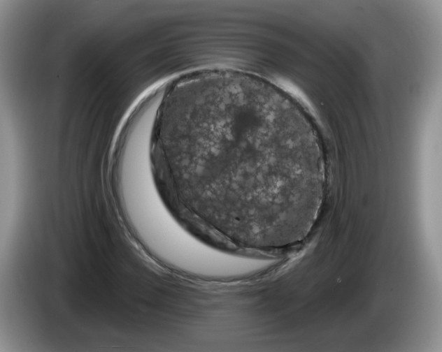 X0000084050924200703092049