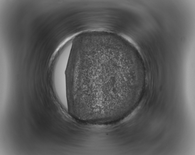 X0000084050925200703092049