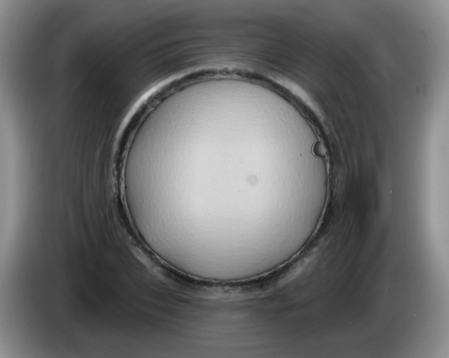 X0000084050927200703092049