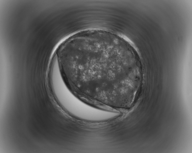 X0000084050928200703092049