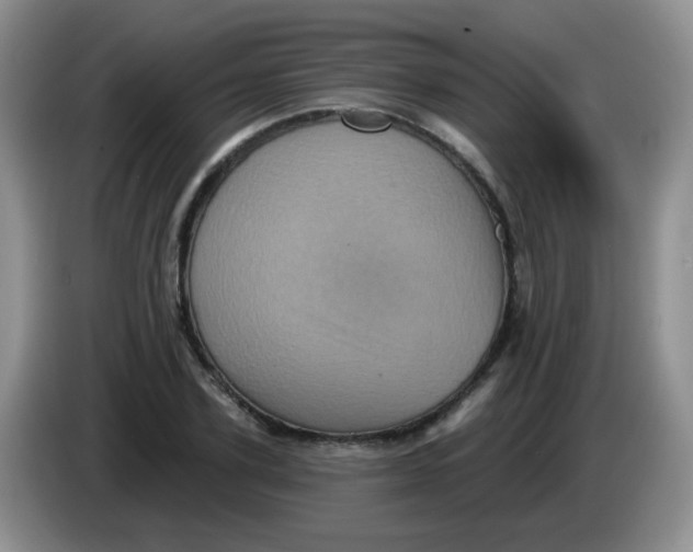 X0000084050931200703092049