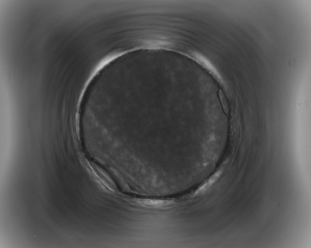 X0000084050932200703092049