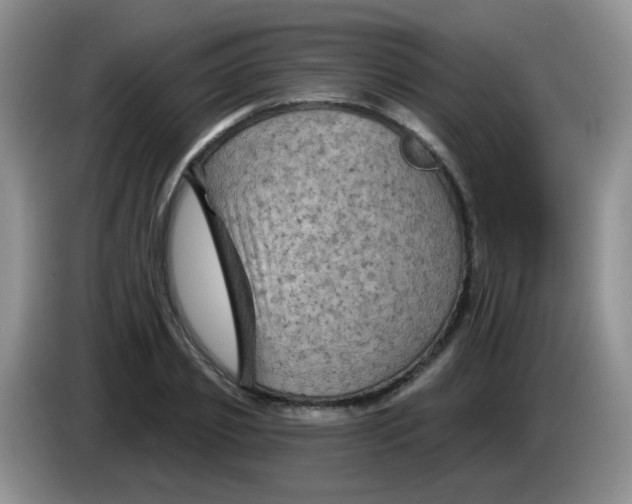 X0000084050933200703092049