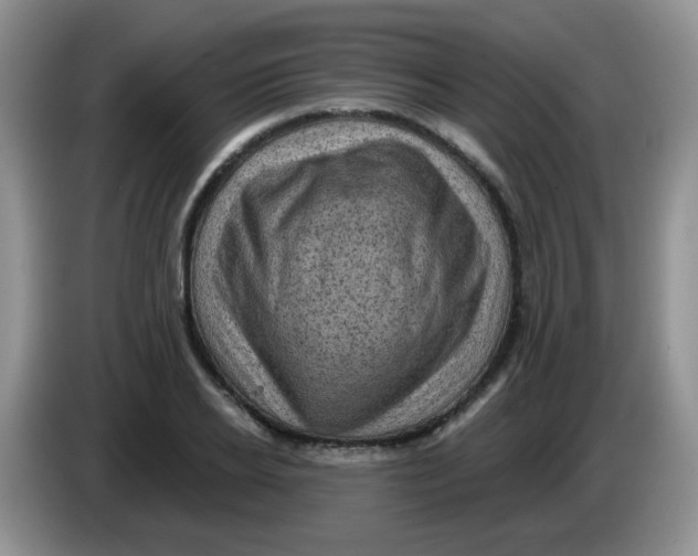 X0000084050934200703092049