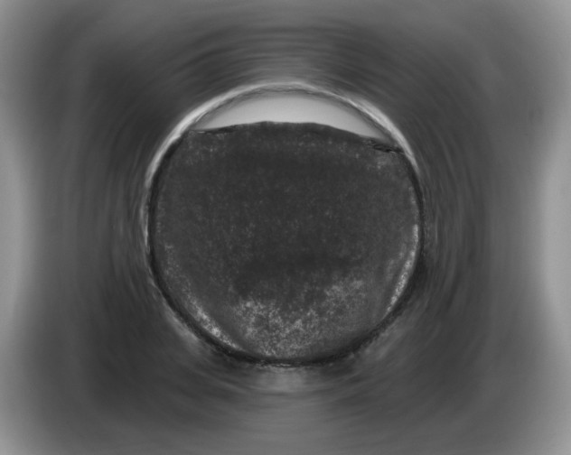 X0000084050935200703092049