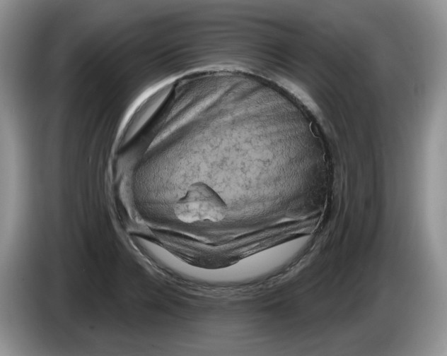 X0000084050936200703092049