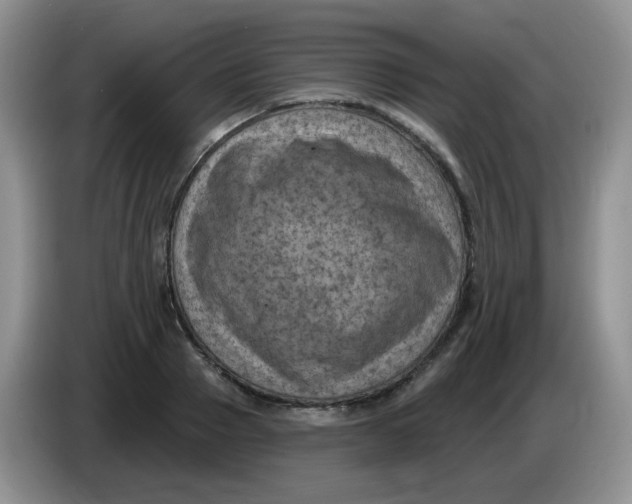 X0000084050937200703092049