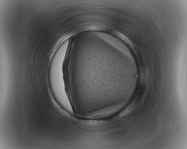 X0000084050938200703092049