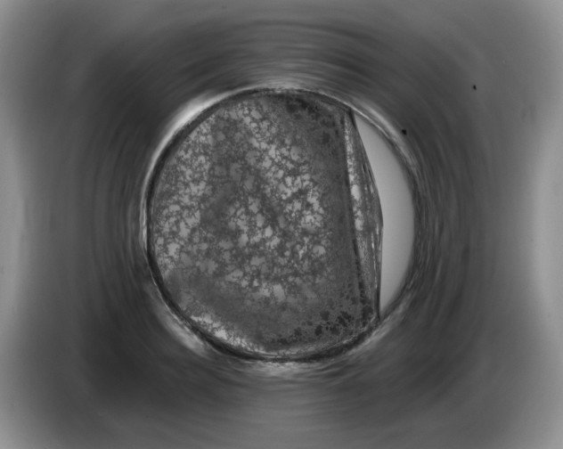 X0000084050940200703092049