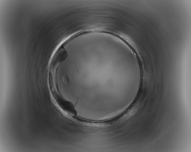 X0000084050941200703092049