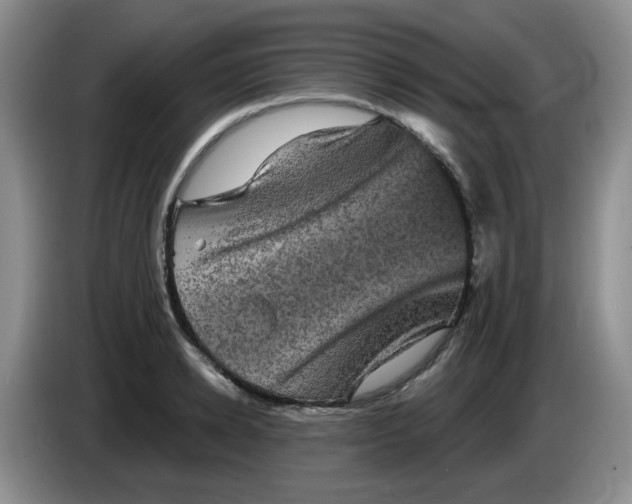 X0000084050942200703092049