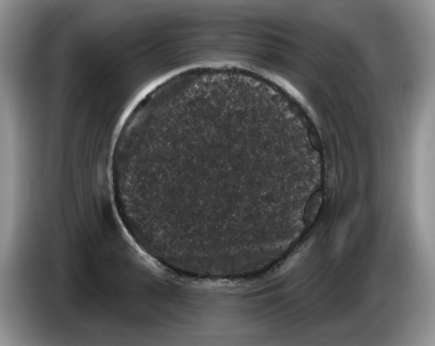 X0000084050943200703092049