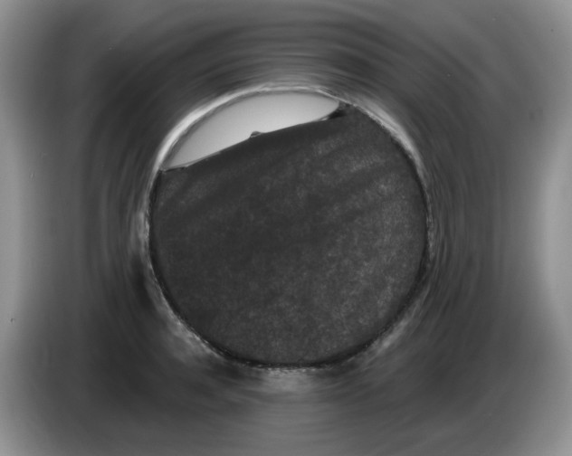 X0000084050944200703092049