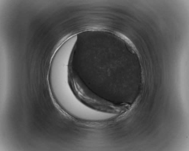 X0000084050946200703092049