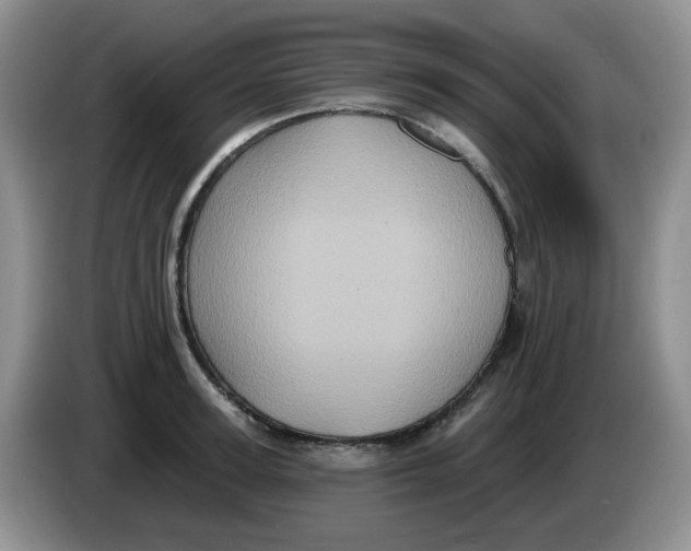 X0000084050947200703092049