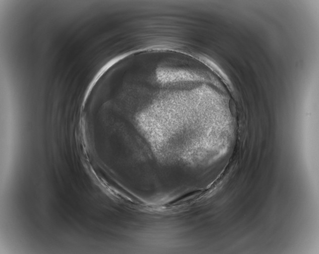 X0000084050948200703092049