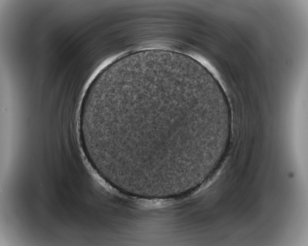 X0000084050949200703092049