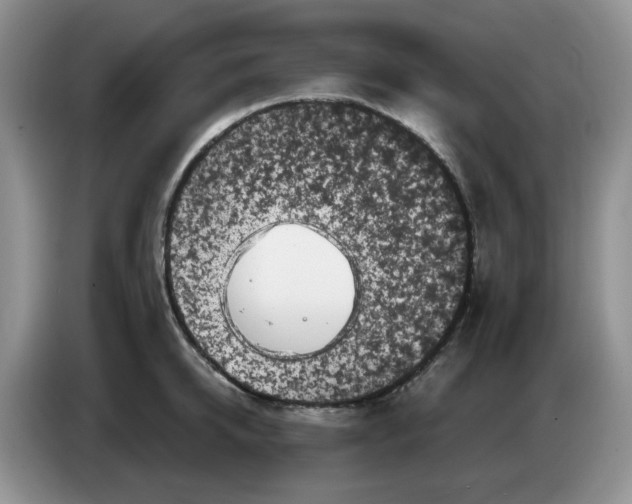 X0000084050950200703092049