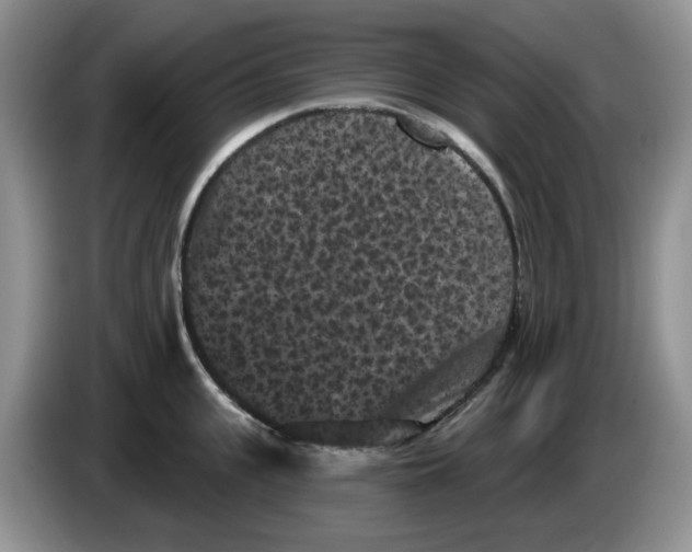 X0000084050951200703092049