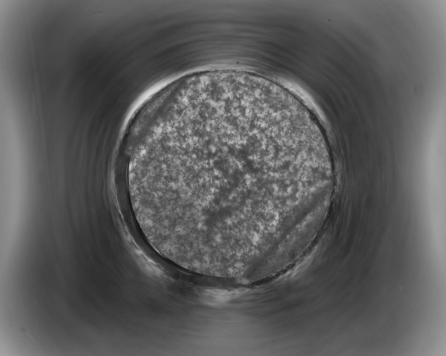 X0000084050952200703092049