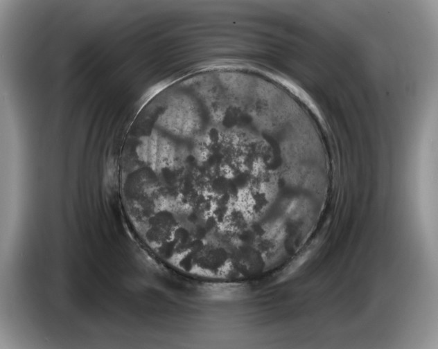 X0000084050953200703092049