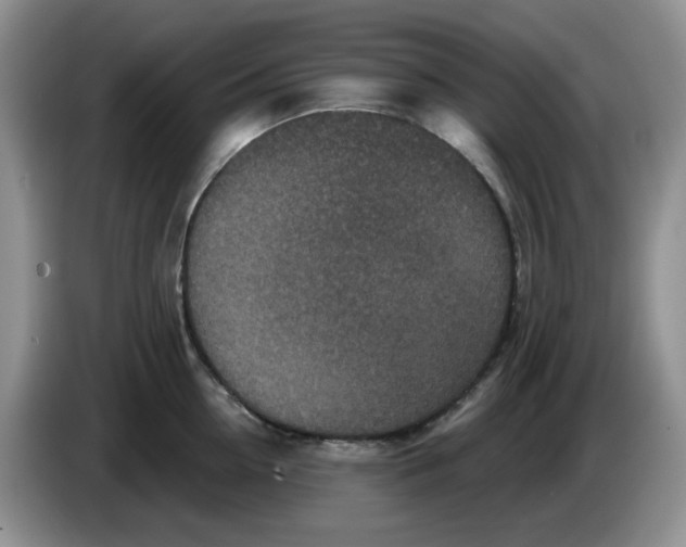 X0000084050954200703092049