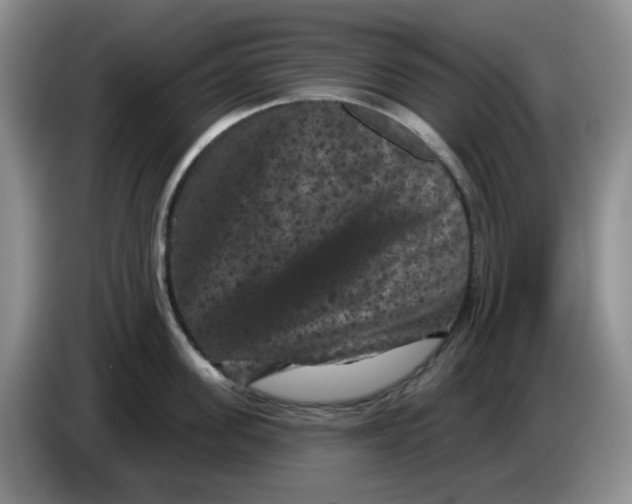 X0000084050955200703092050