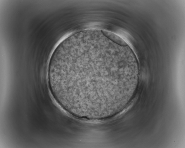 X0000084050957200703092050