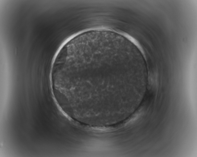 X0000084050959200703092050