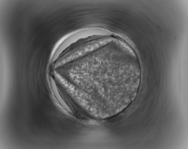 X0000084050960200703092050