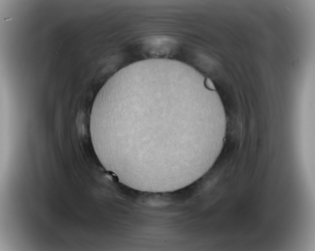 X0000084050962200703092049