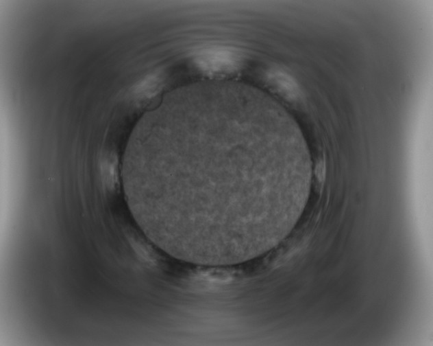 X0000084050963200703092049