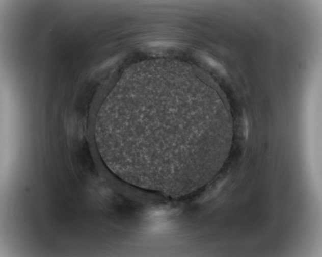 X0000084050965200703092049