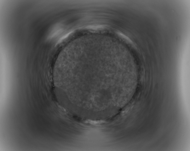 X0000084050966200703092049