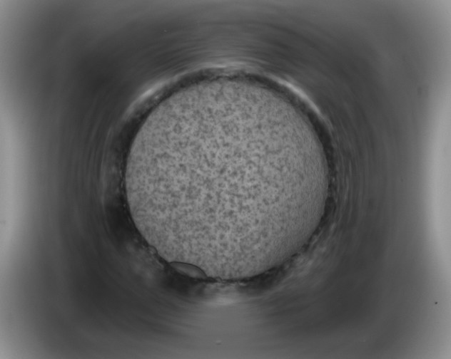 X0000084050967200703092049