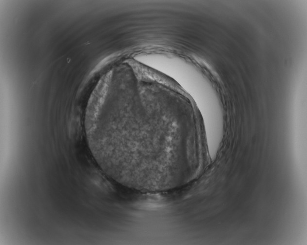 X0000084050968200703092049